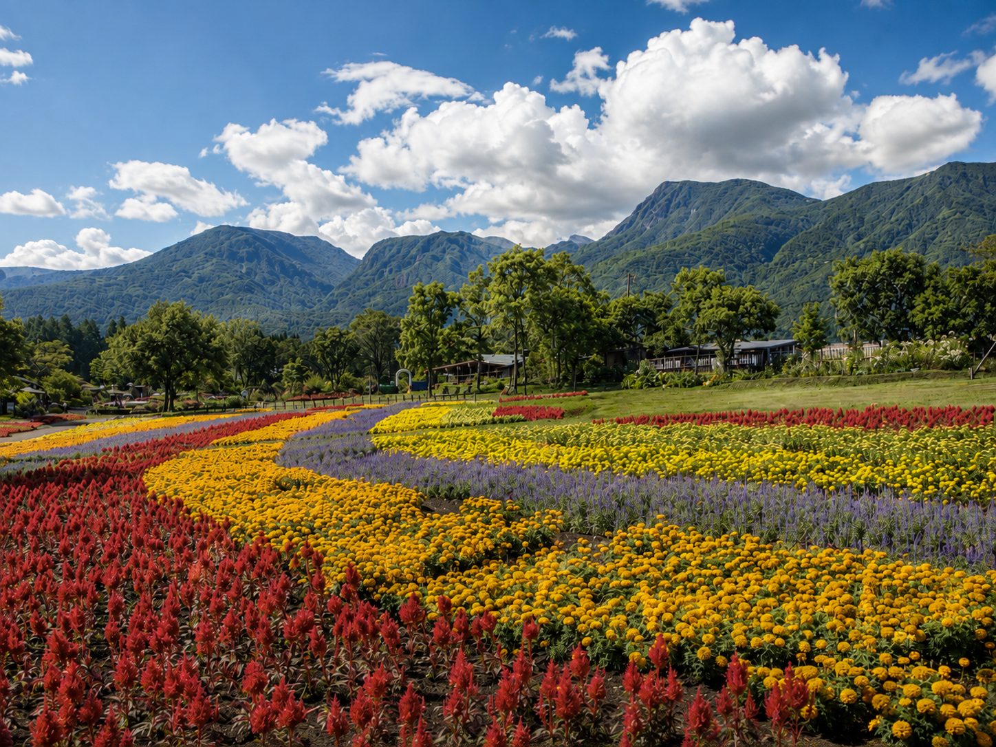 久住花公園